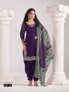 Aanaya Vol 231 By Dani Creation Designer Chanderi Silk Salwar Suit Exporters In India